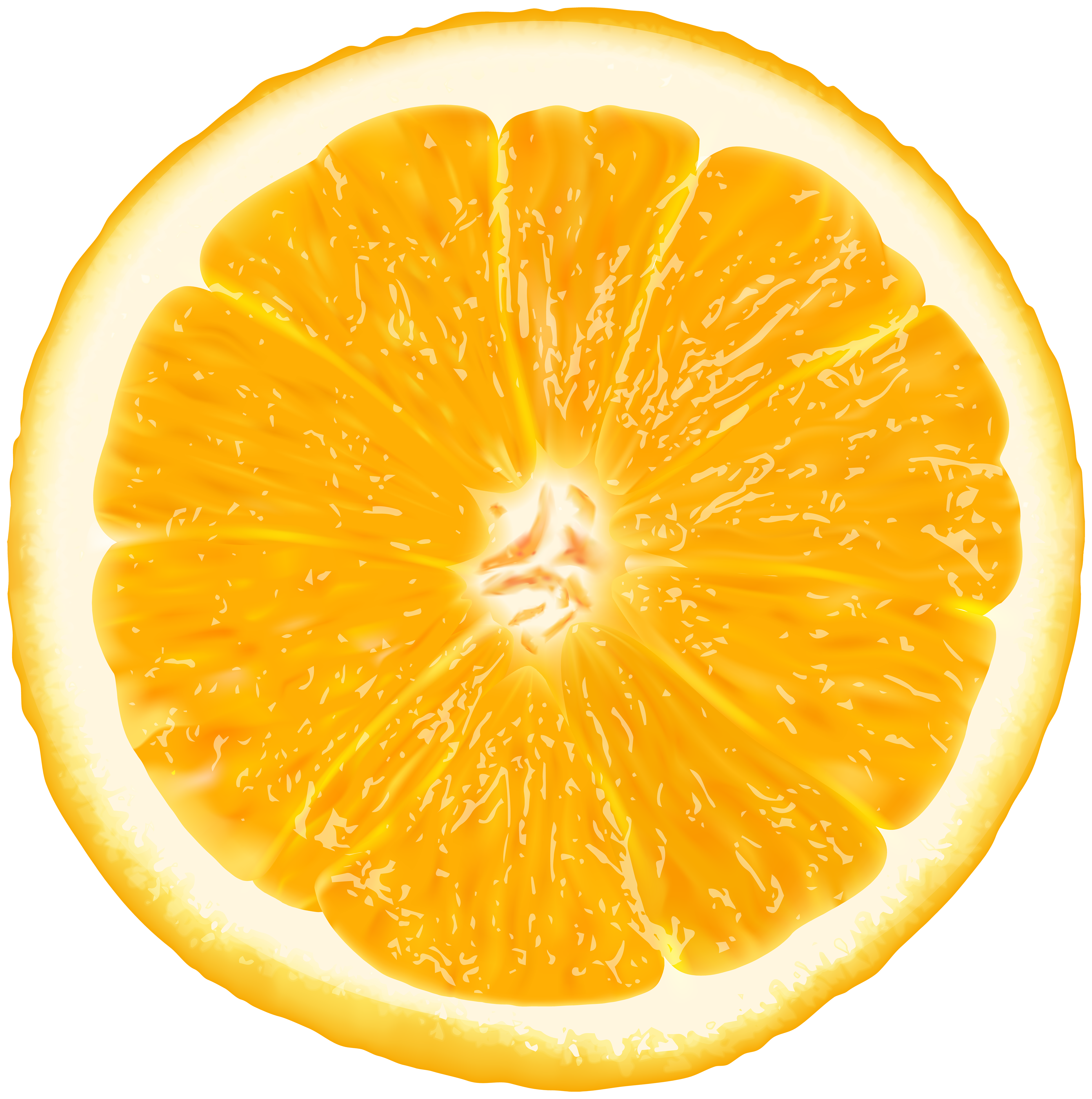 Orange Slice PNG Clip Art Image.