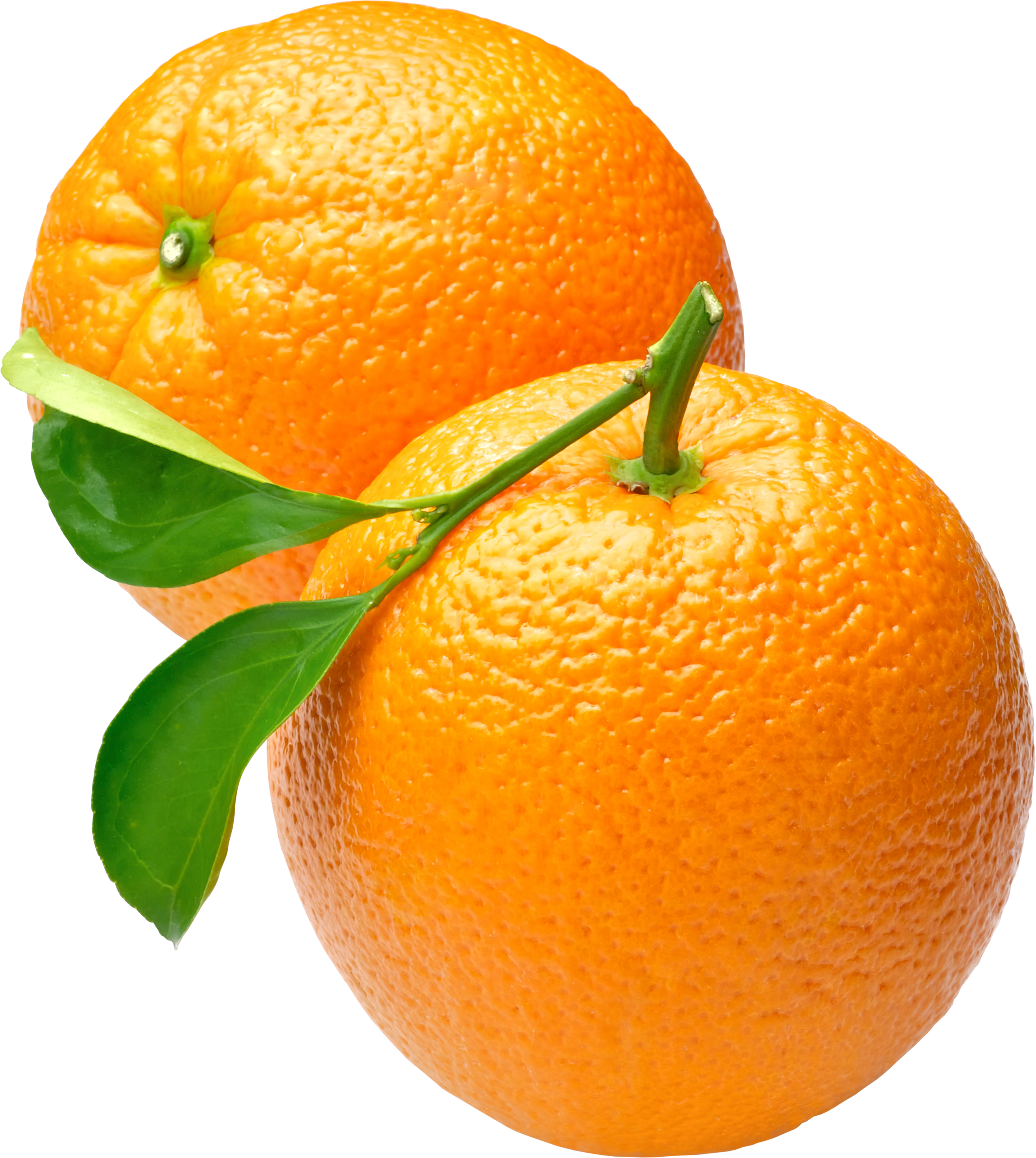 Orange Icon Clipart.