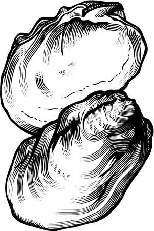 Similiar Oyster Clip Art Black And White Keywords.