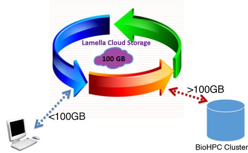 BioHPC Cloud Storage.