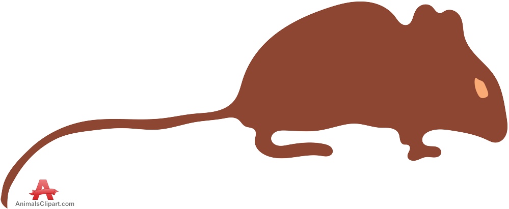 Brown Mouse with Long Tail.