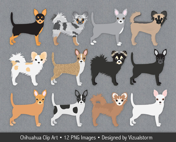 Chihuahua Clipart, Hand Drawn Chihuahua Dog Illustrations, Short.