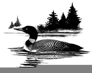 Clipart Loon.