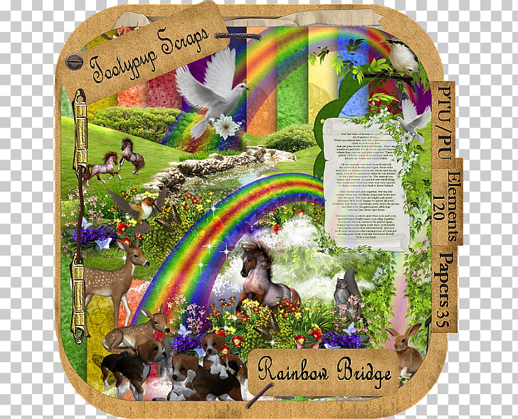 Dog Rainbow Bridge Cat Animal loss Pet, rainbow bridge PNG.