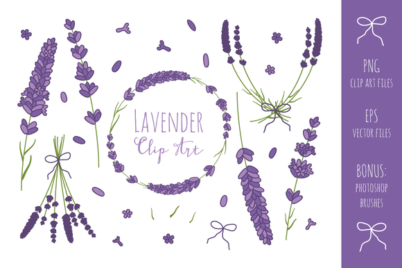 Lavender Branches Clip Art + Vector ~ Illustrations on.