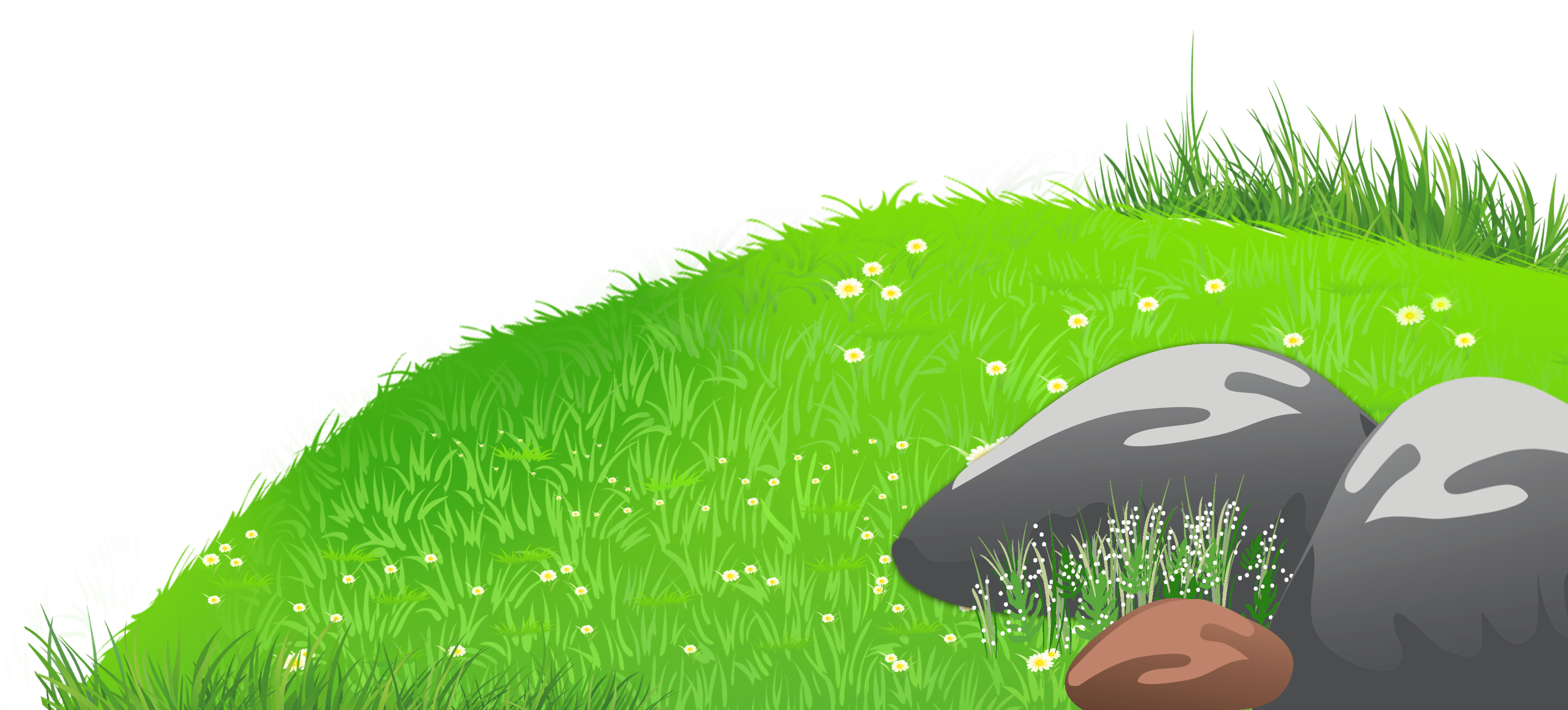 Daisies and Grass Clip Art.