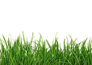 Lawn Care Stock Clipart.