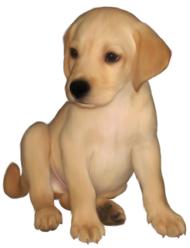 Free Labrador Cliparts, Download Free Clip Art, Free Clip Art on.