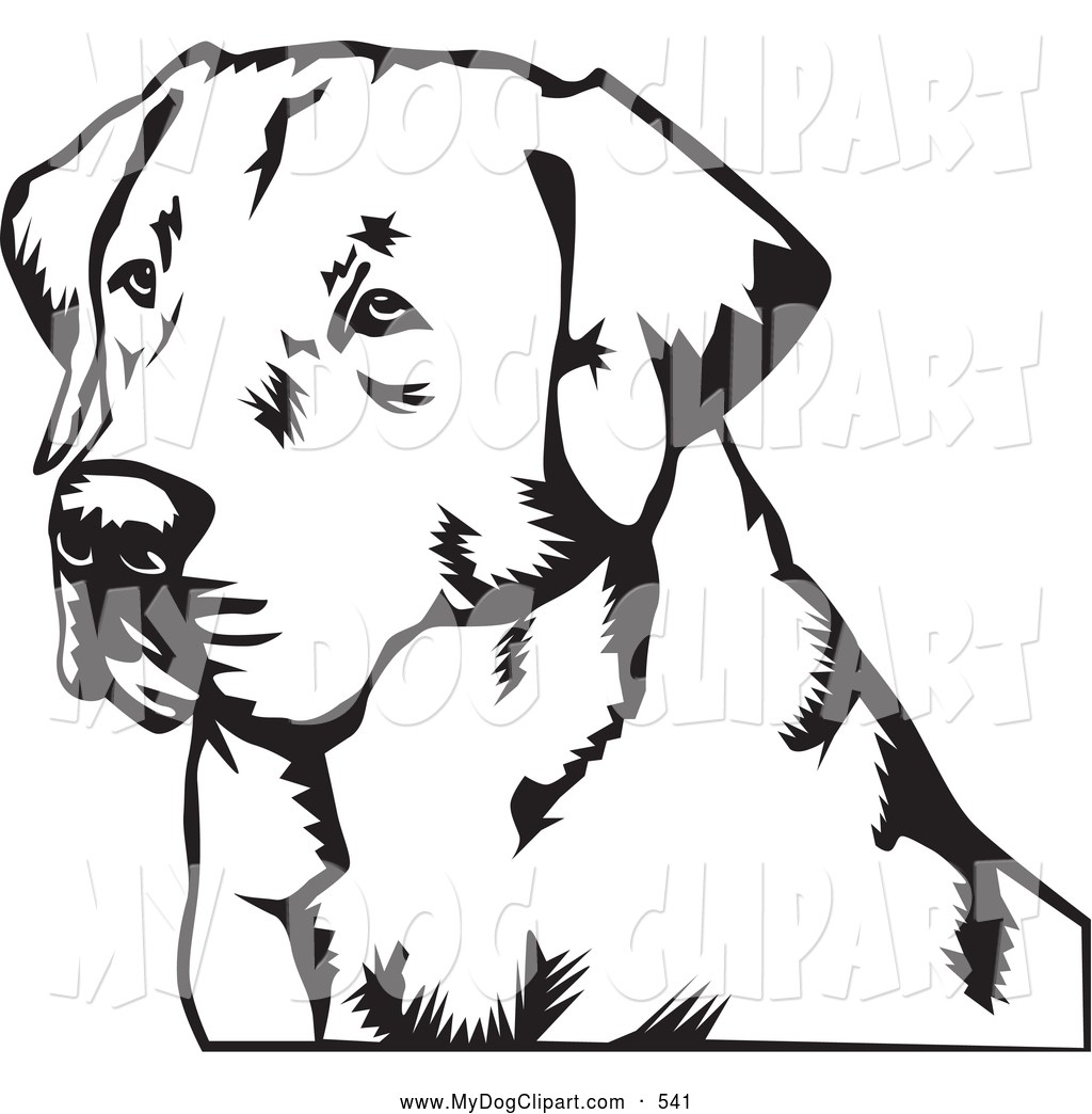 Free labrador clipart 4 » Clipart Portal.