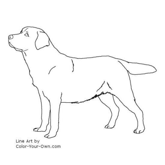 Free Lab Puppy Cliparts, Download Free Clip Art, Free Clip Art on.