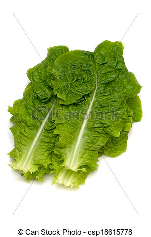 Pictures of Korean Lettuce.