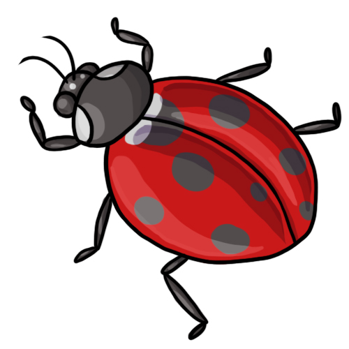 20 FREE Ladybug Clip Art Drawings and Colorful Images.