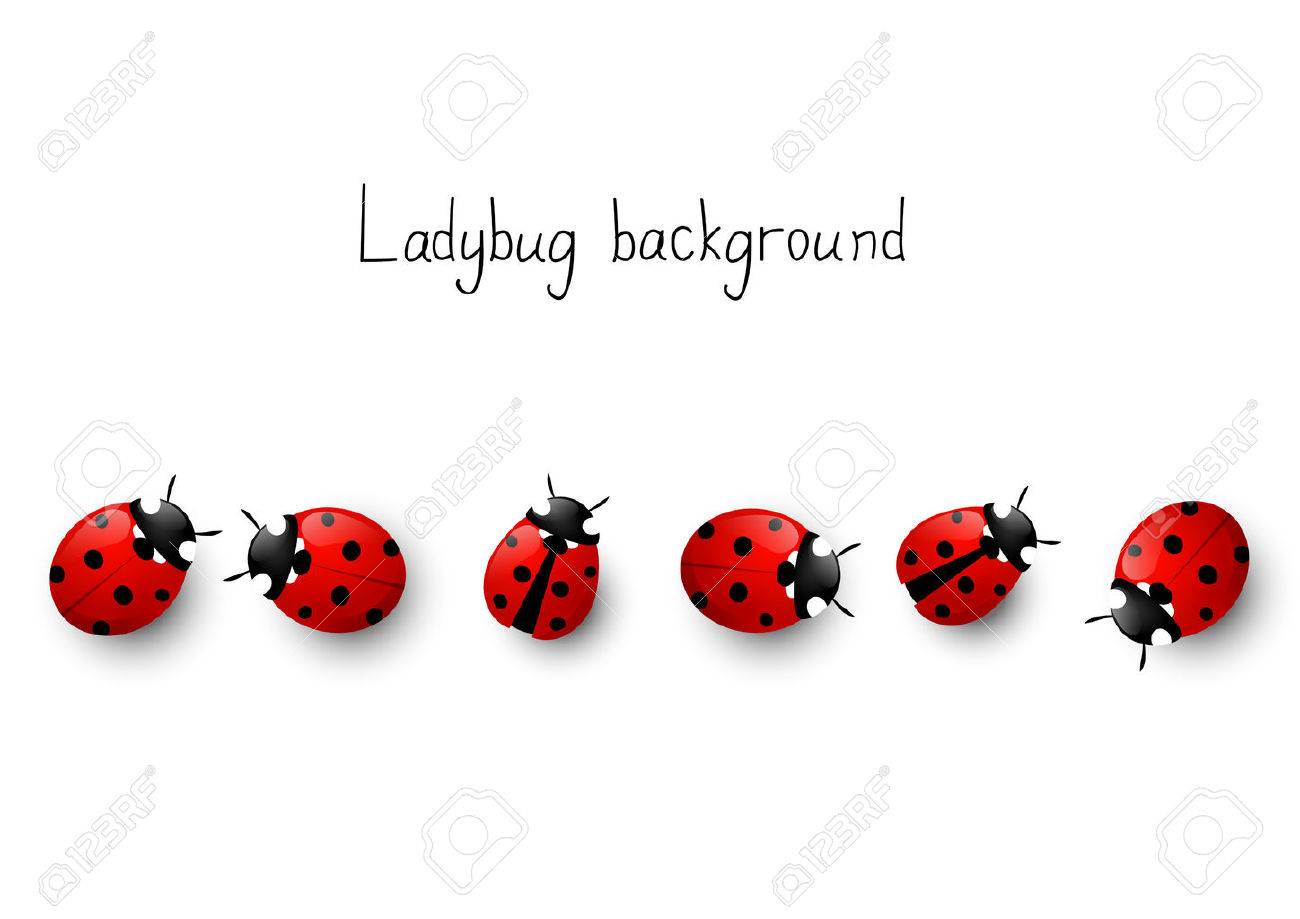 Ladybug border for Your design.