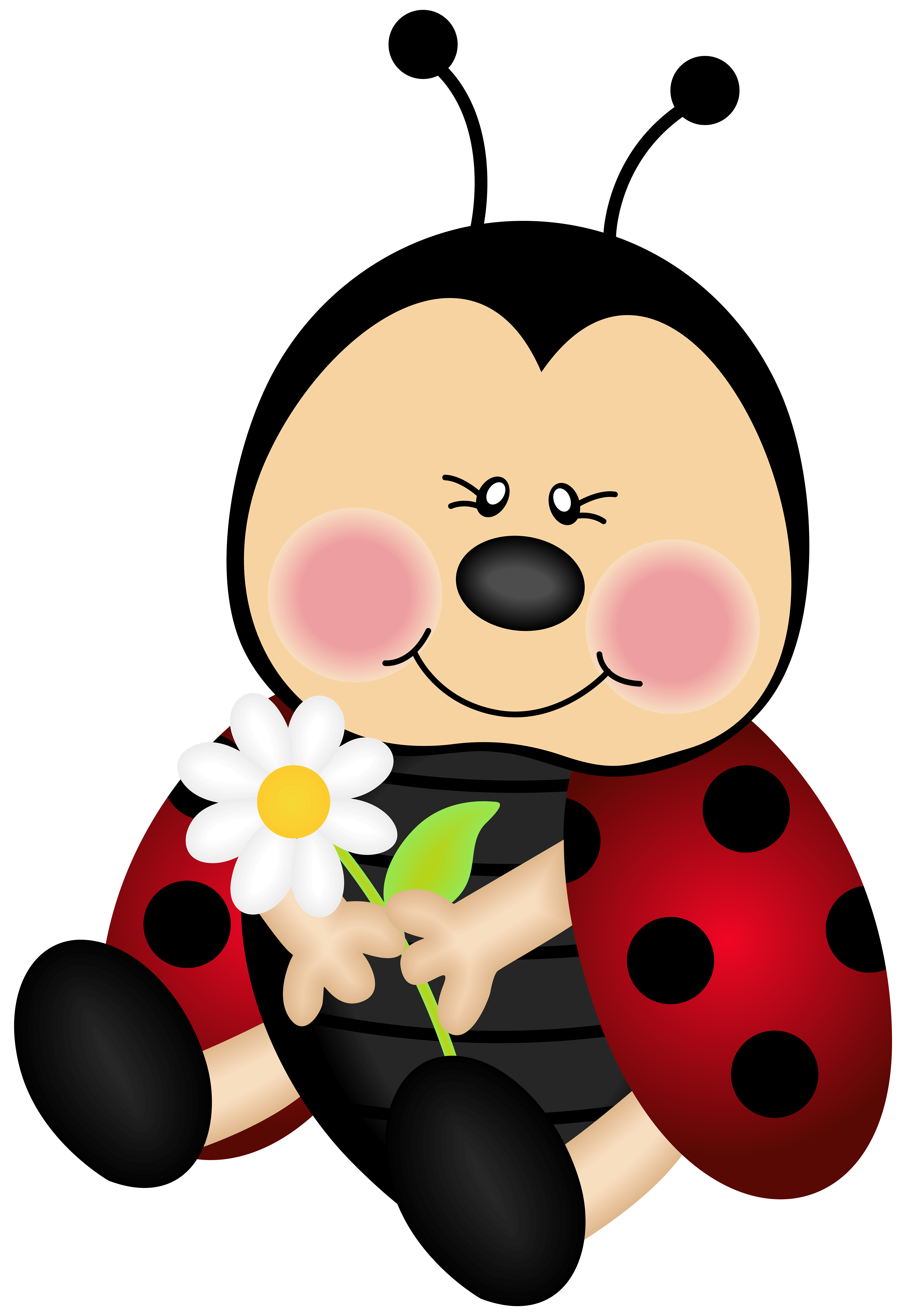 Lady Bug Cartoon PNG Clip Art Image.