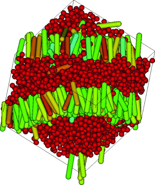 Snapshot showing the structure of the lamellar (low temperature.