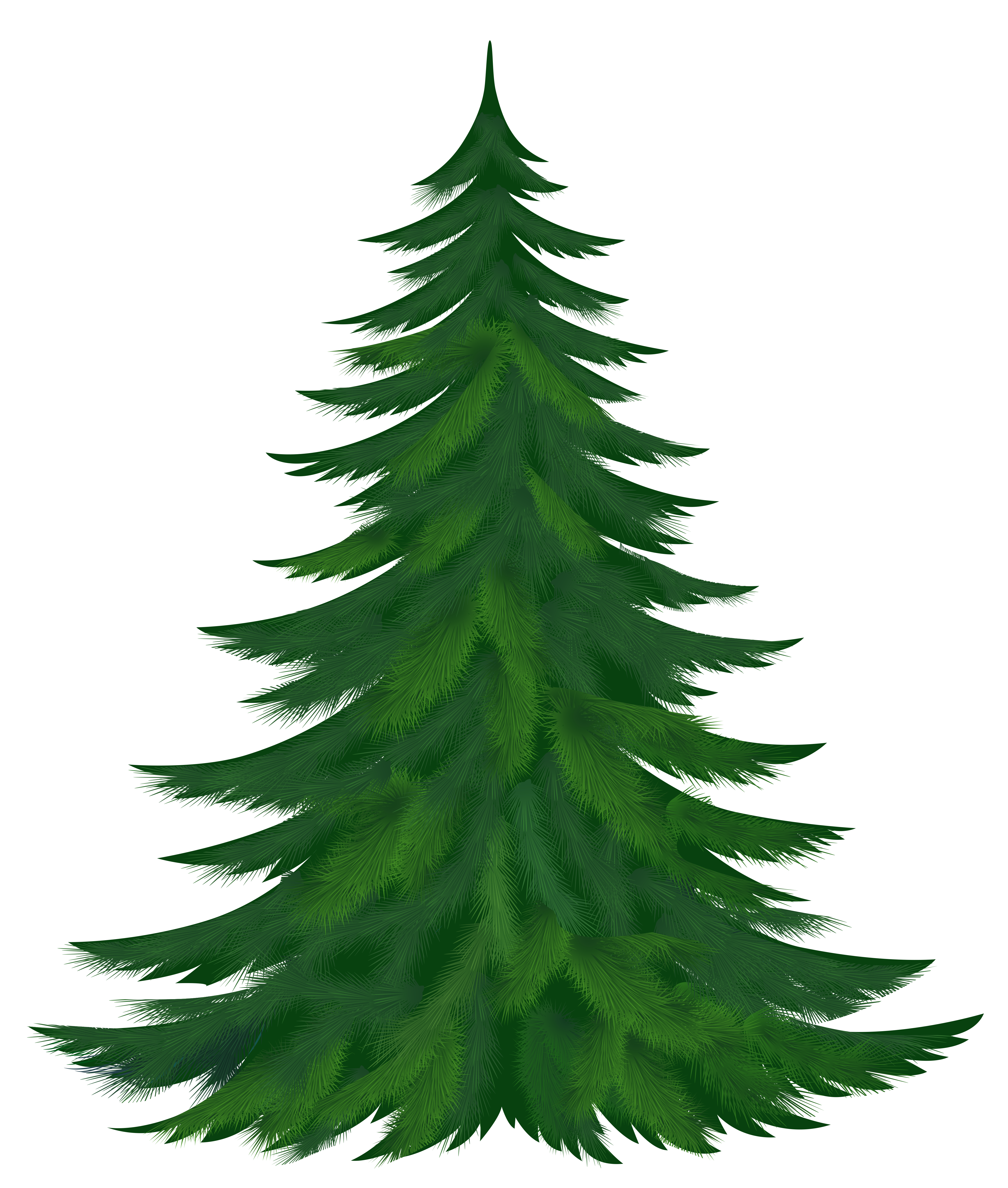 Pine Trees Clip Art.