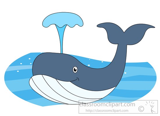 Whale Clipart : whale.