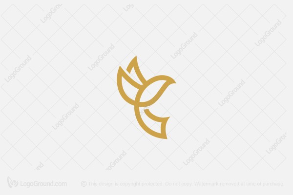 Exclusive Logo 161194, Bird Letter C Logo.