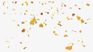 Fall Leaves PNG, Transparent Fall Leaves PNG Image Free.