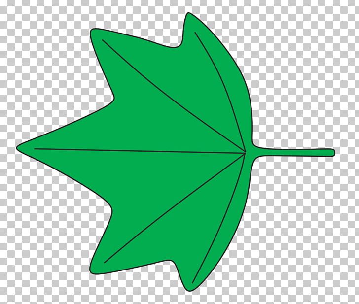 Leaf Shape 葉縁 Plant Identification Wikipedia PNG, Clipart.