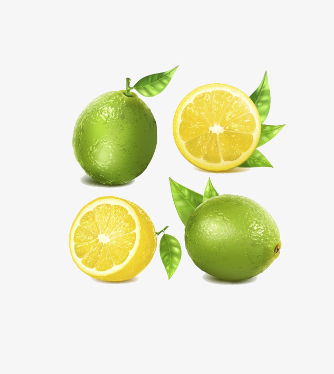 Lime And Lemon, Lemon Clipart, Leaf, Lem #108557.