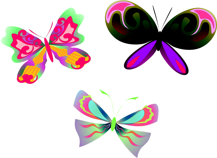 Mariposas Y Libélulas.