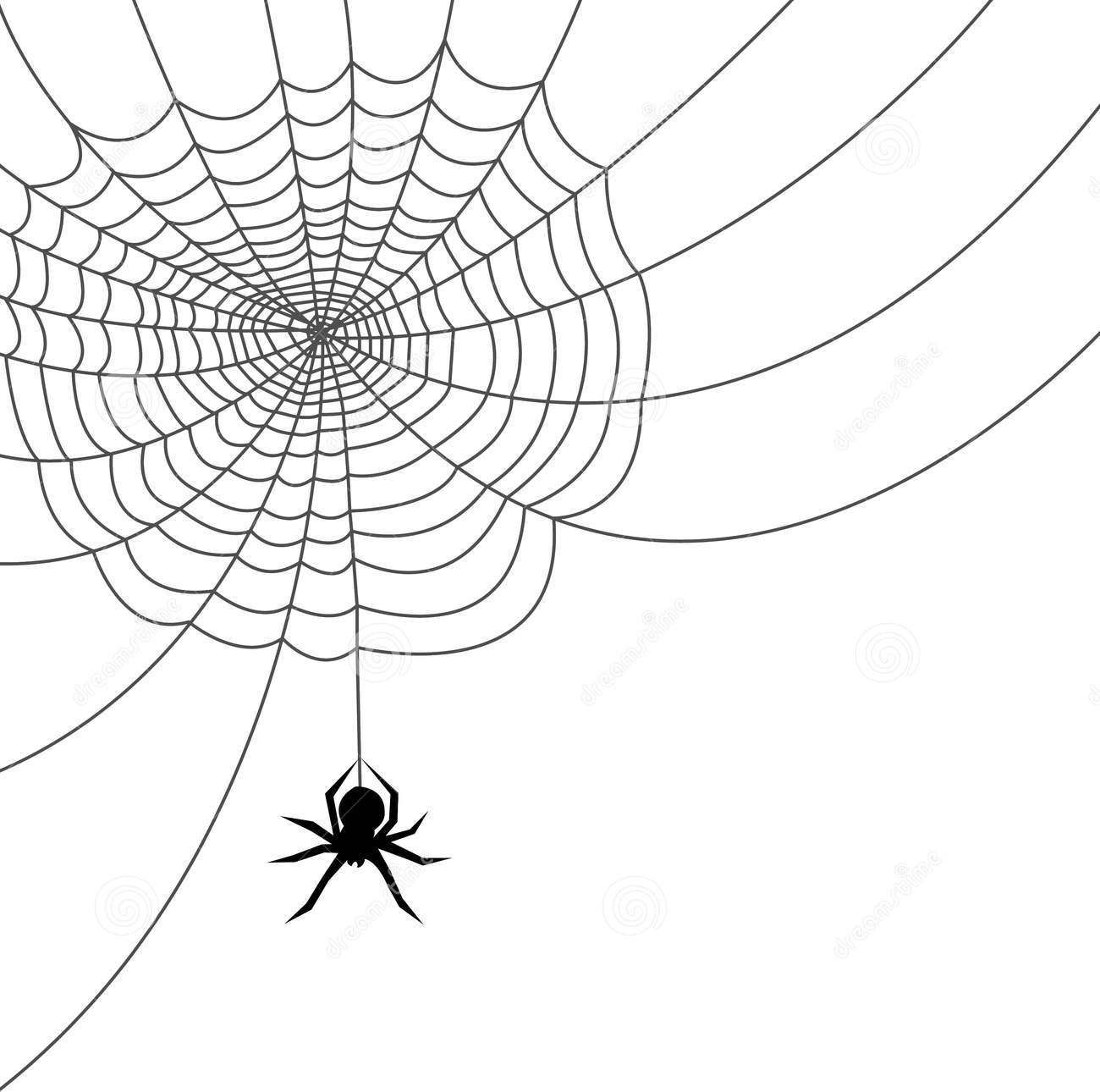 Spider spinning web clipart.