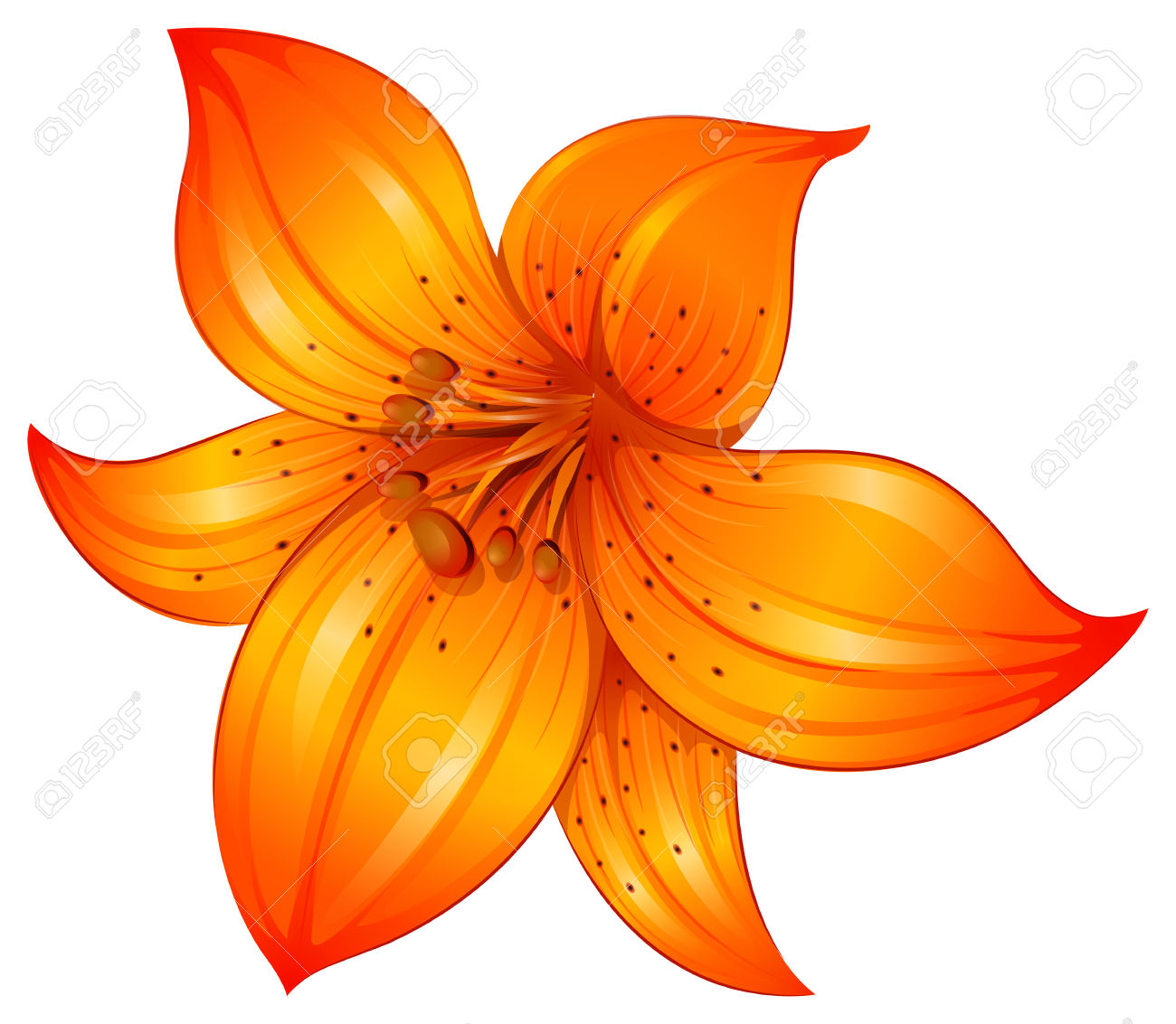 198 Lilium Cliparts, Stock Vector And Royalty Free Lilium.