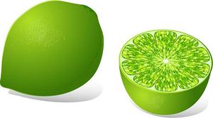 Lime Clipart.