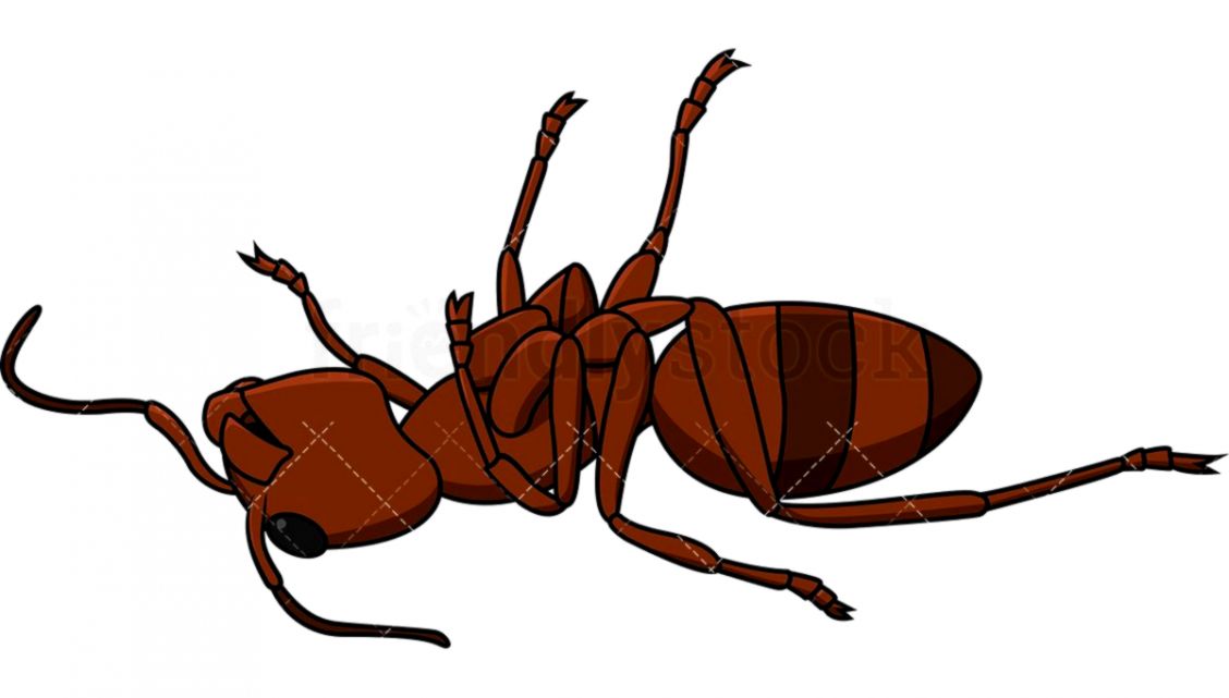 Line Of Ants Clipart.