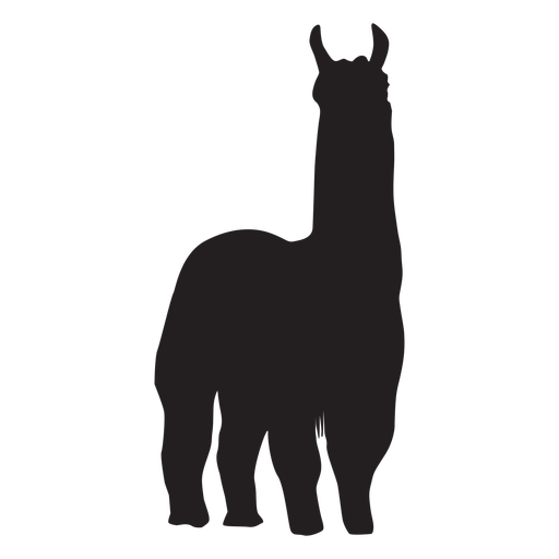 Isolated llama standing silhouette.