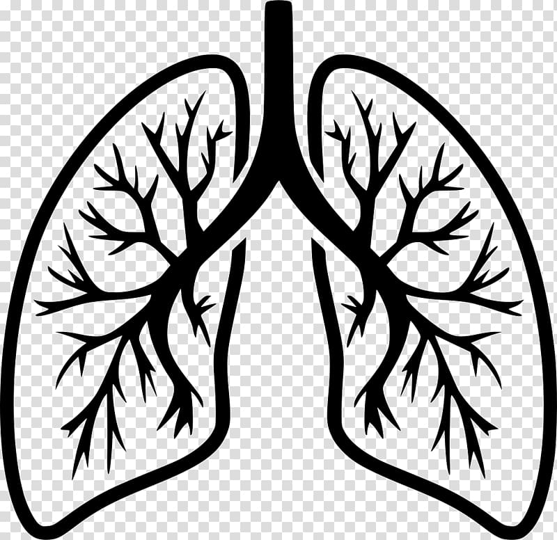 Lung Computer Icons Breathing Organ, human Lungs transparent.