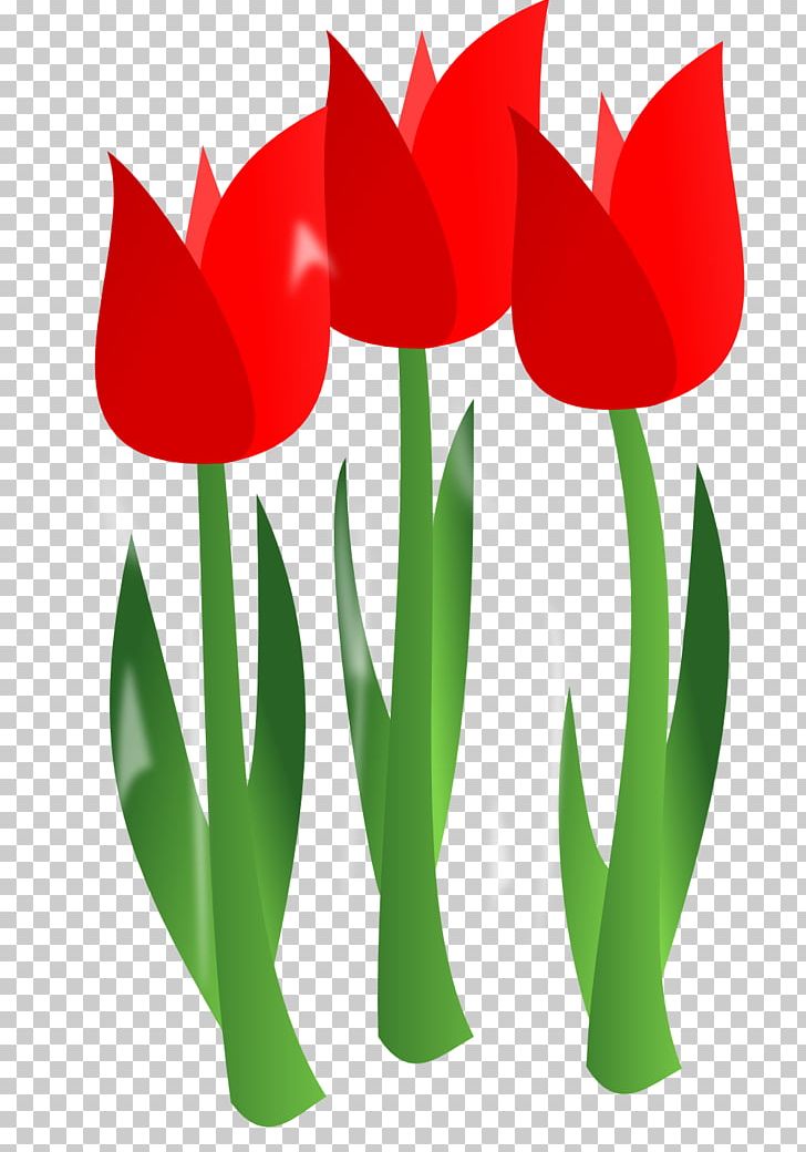 Mothers Day PNG, Clipart, April Flowers, April Flowers.