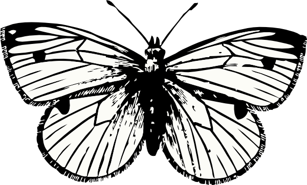 Clip Art Black And White Moth Clipart.