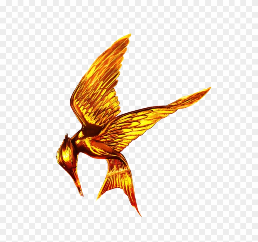 The Hunger Games Png Free Download Clipart (#2618003.