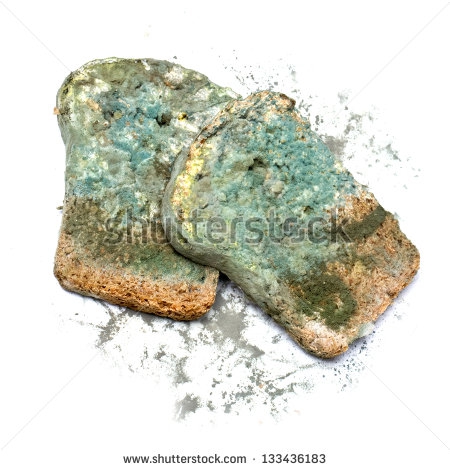 Moldy Bread Clipart#2136734.