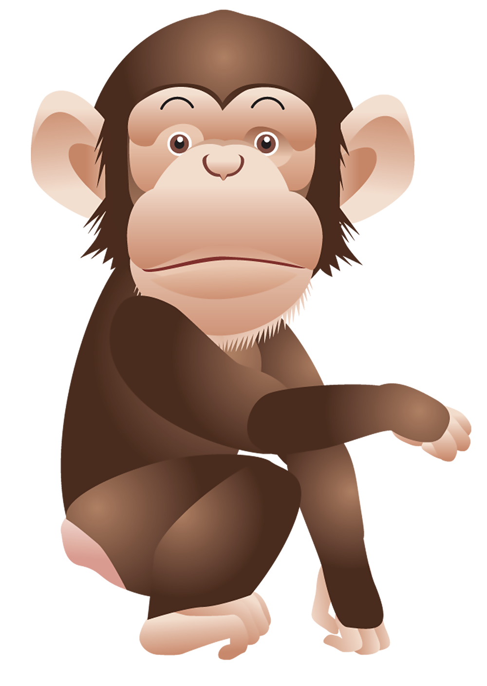 Monkey PNG Clipart Picture.