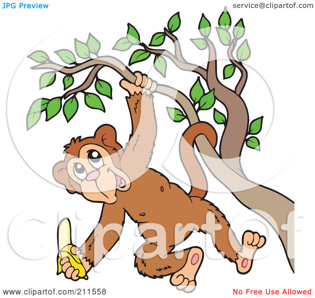 Monkey Hanging From A Tree Clipart.