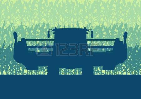 45,425 Morning Light Stock Vector Illustration And Royalty Free.