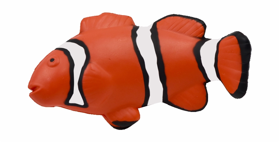 Maf 012 Clown Fish Coral Reef Fish.