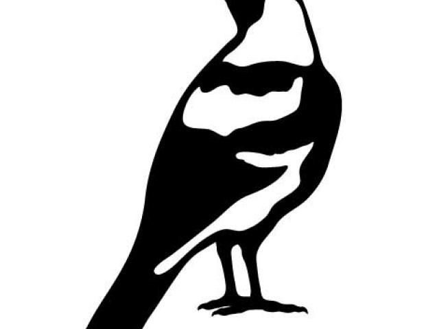 Free Magpie Clipart, Download Free Clip Art on Owips.com.