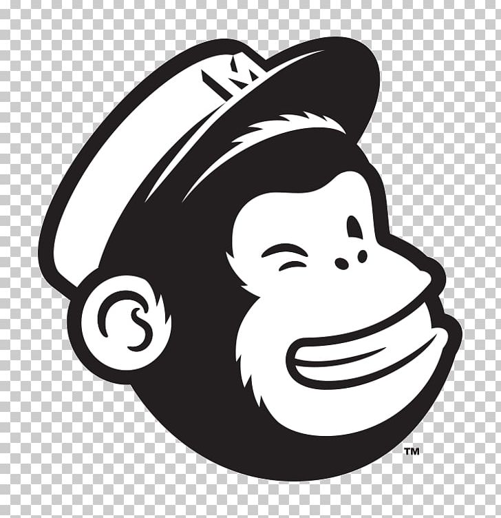 MailChimp Email Marketing E.