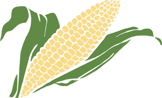 Grain Clipart Corn Grain.