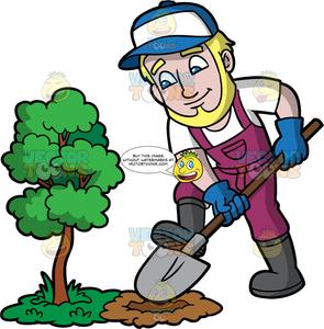 A Man Digging A Hole Next To A Small Tree.