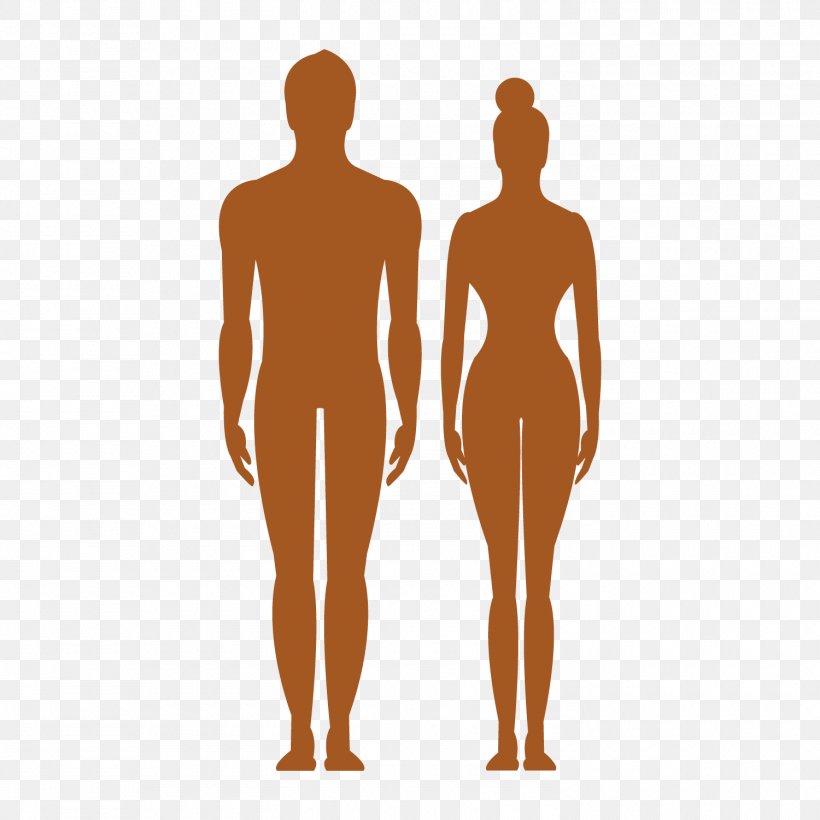 Human Body Silhouette Clip Art, PNG, 1500x1500px, Human Body.