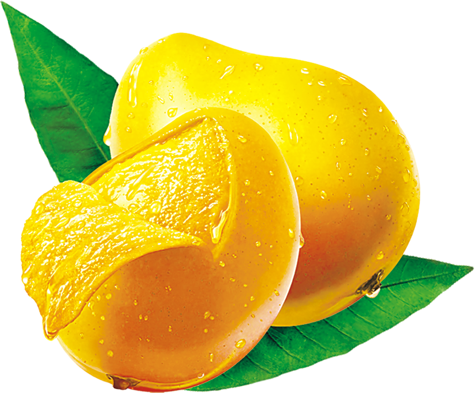 Mango PNG Images Transparent Free Download.