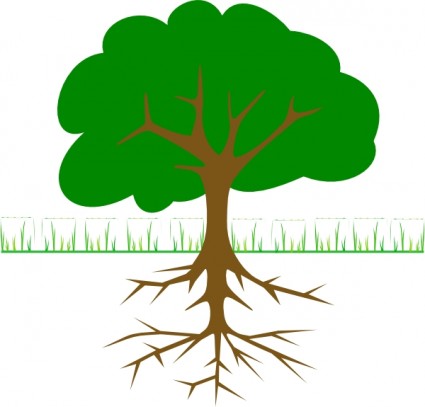 Mangrove Clipart.