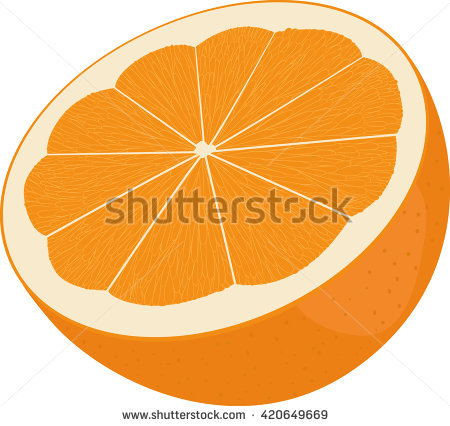 Orange Cut Half Citrus Isolated On Stock Vector 420649669.