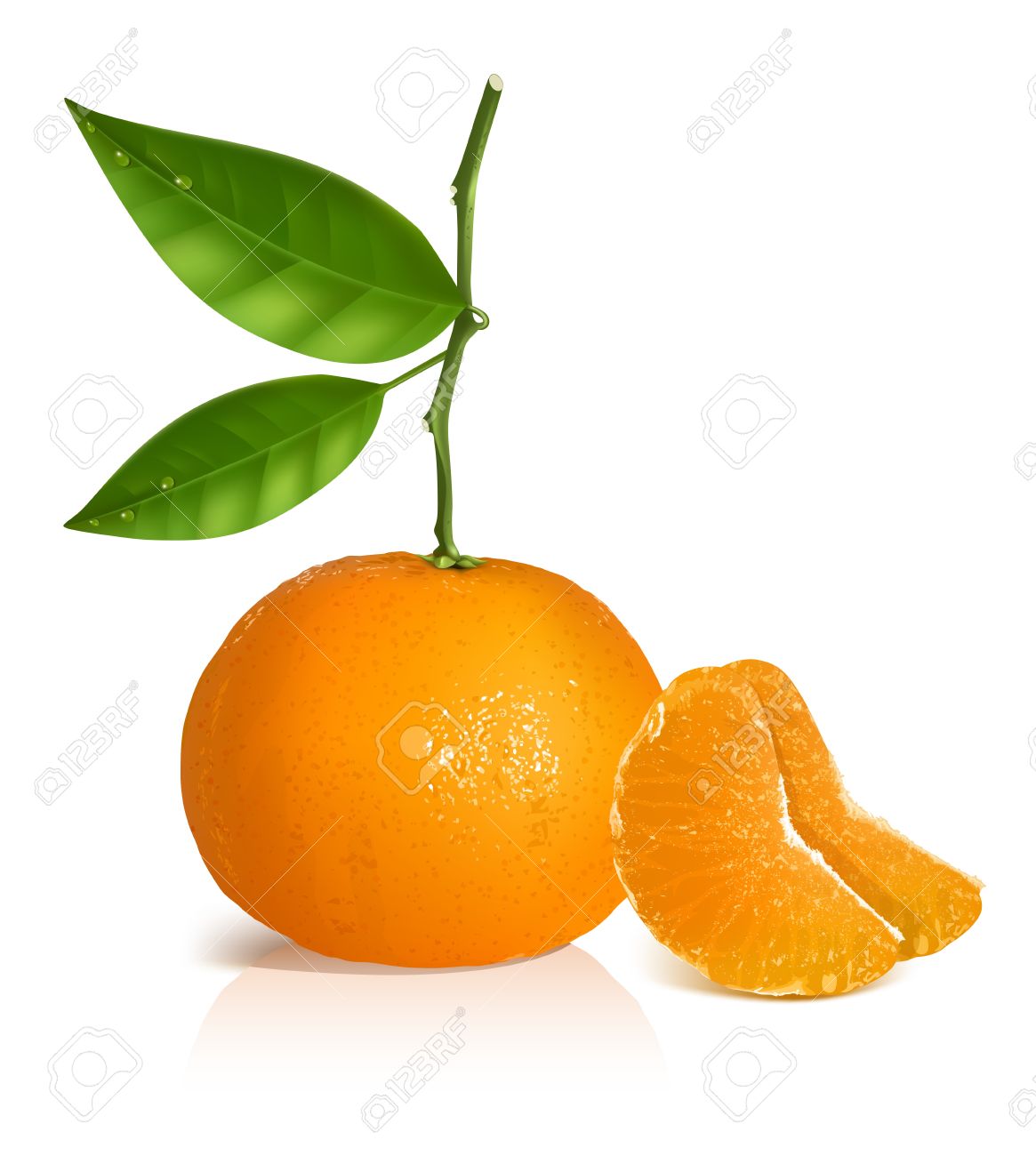 3,670 Mandarin Orange Stock Vector Illustration And Royalty Free.