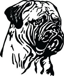 Bull Mastiff Head Dog Clip Art For Custom Pet Lovers Gifts.